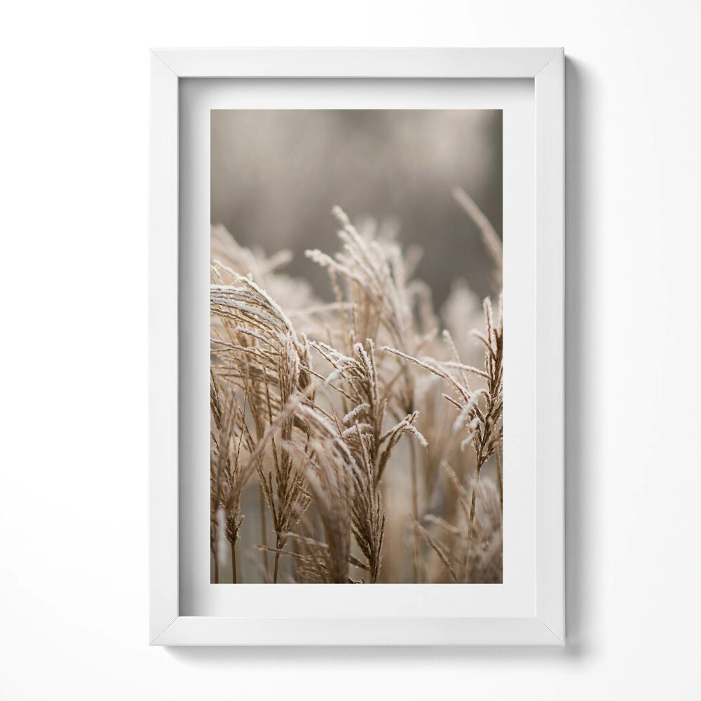 Tablou rama decorativ Ierburi delicate Boho