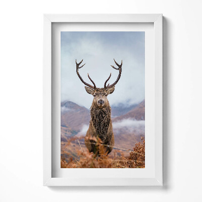 Tablou rama decorativ Un cerb într-o poiană de munte