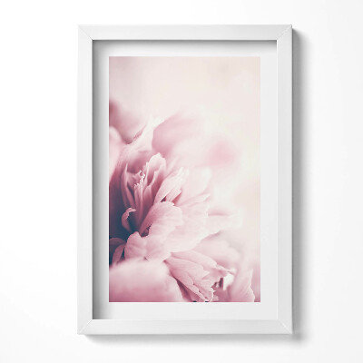 Tablou rama decorativ Prim-plan al petalelor de bujor