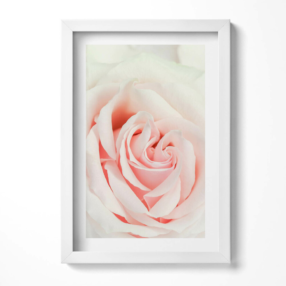 Tablou living cu rama decorativ Prim-plan al petalelor de trandafir