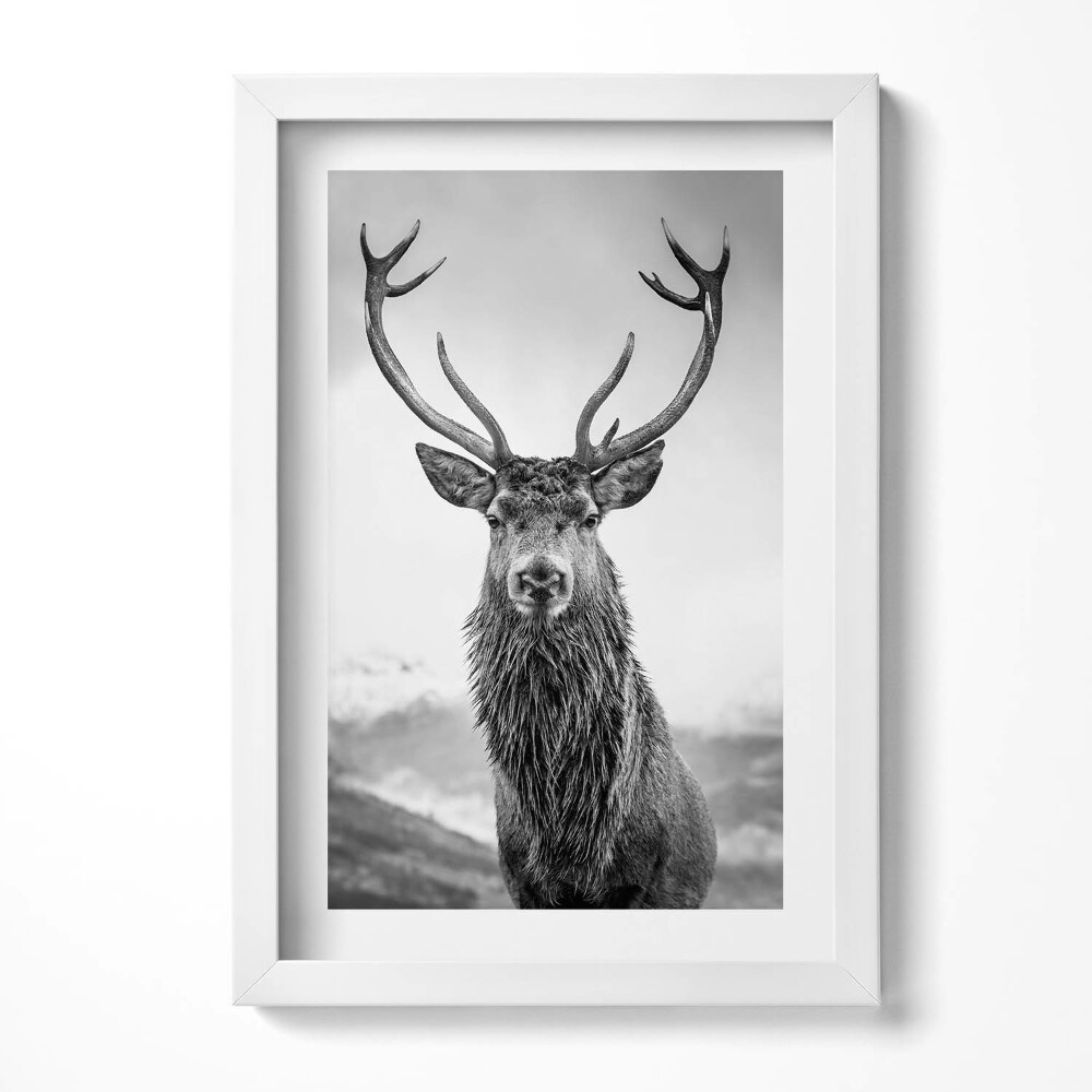 Tablou rama decorativ Cerb alb-negru
