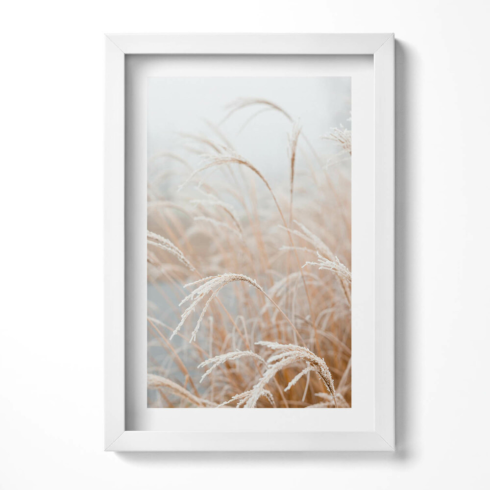 Tablou living cu rama decorativ Ierburi delicate boho