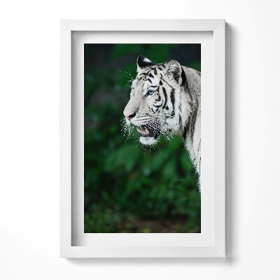 Tablou rama decorativ Tigru alb în junglă