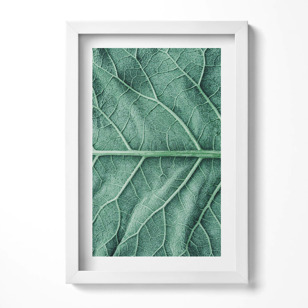 Tablou rama decorativ Prim-plan al nervurilor frunzelor