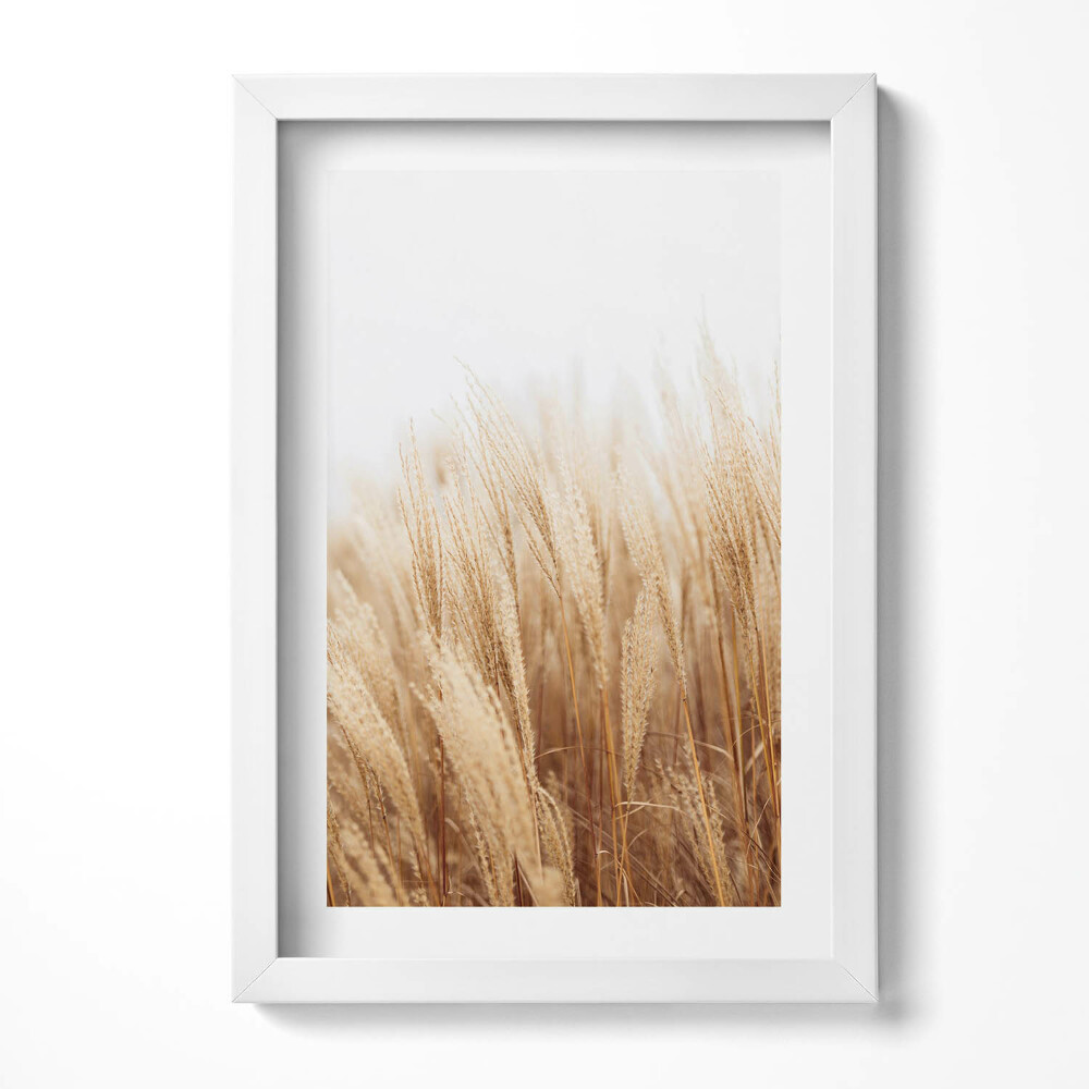 Tablou living cu rama decorativ Un peisaj de ierburi delicate în stil boho