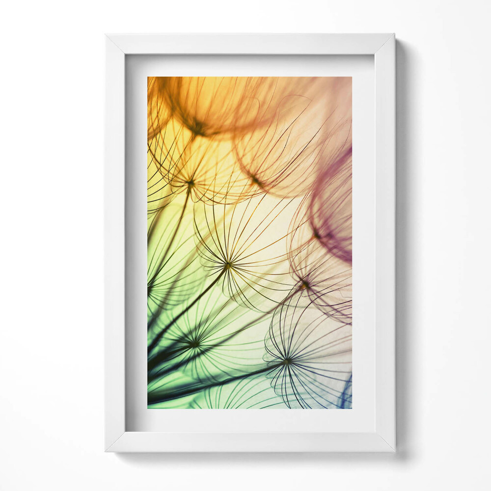 Tablou rama decorativ Polen delicat de păpădie