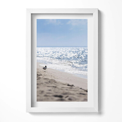 Tablou living cu rama decorativ Valurile mării și o pasăre pe plajă