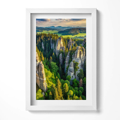 Tablou living cu rama decorativ O vedere de sus a peisajului cu munți și păduri unice