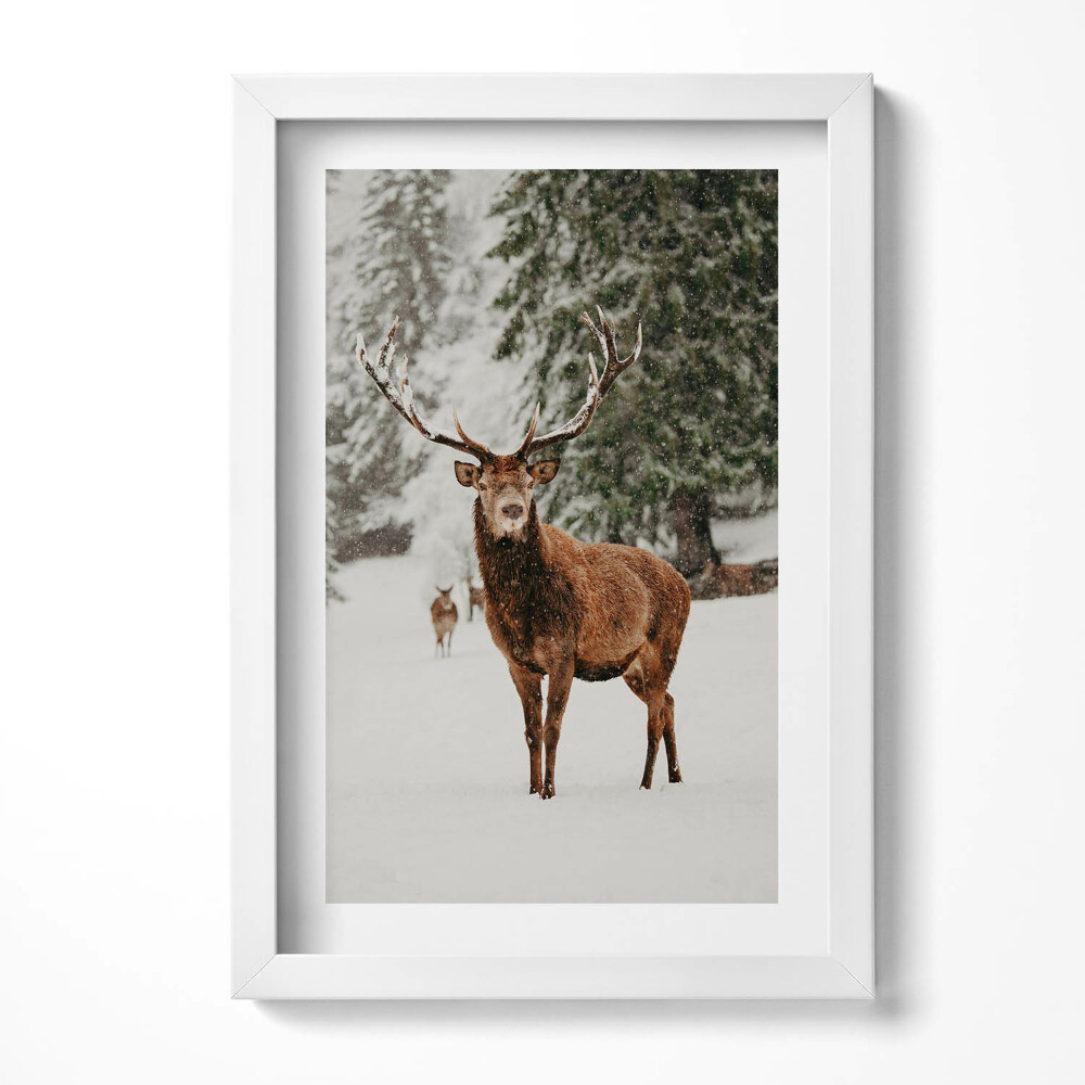 Tablou living cu rama decorativ Cerb în pădurea de iarnă