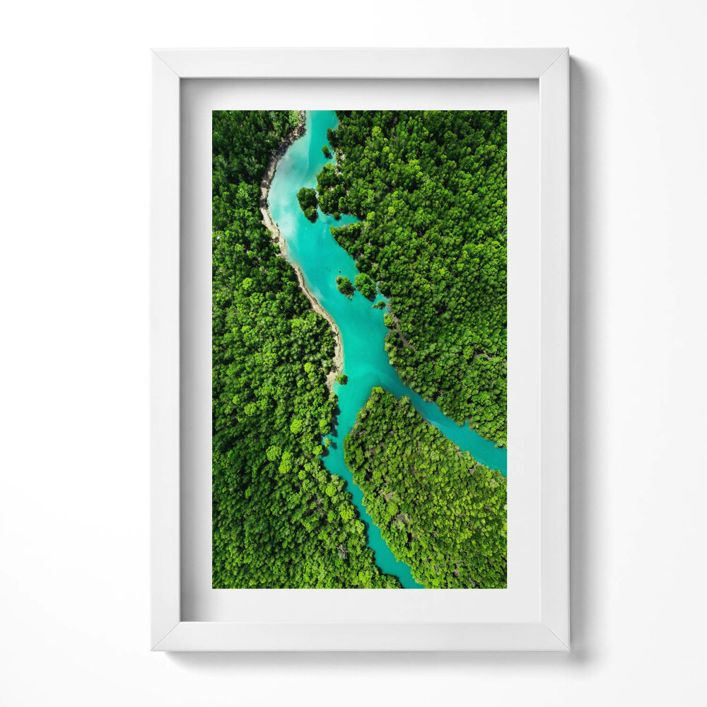 Tablou rama decorativ Vedere aeriană a unui râu în pădurile tropicale