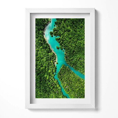 Tablou rama decorativ Vedere aeriană a unui râu în pădurile tropicale