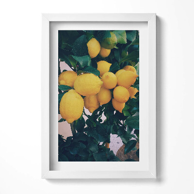 Tablou living cu rama decorativ Lămâi galbene coapte