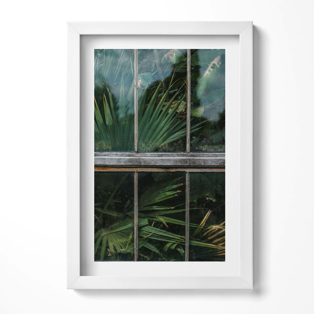 Tablou living cu rama decorativ Fereastra de seră și plantele