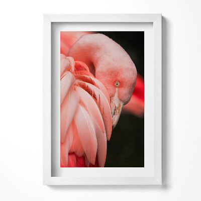 Tablou living cu rama decorativ Pasărea flamingo roz