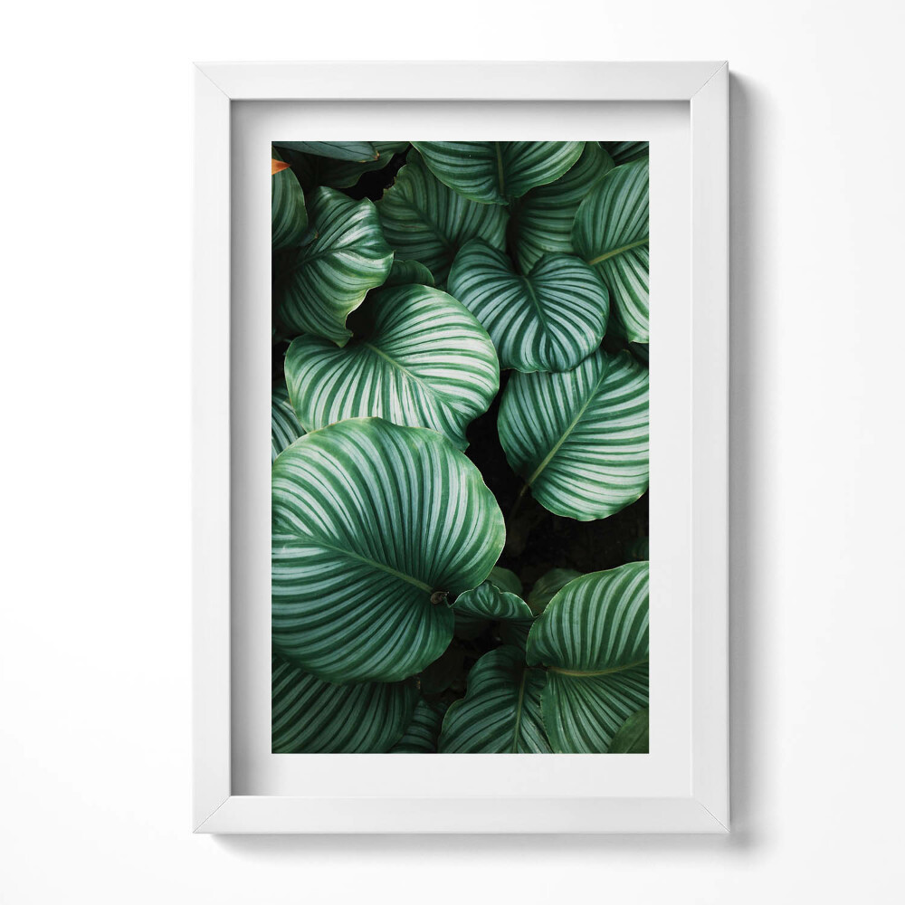 Tablou rama decorativ Frunze mari și verzi