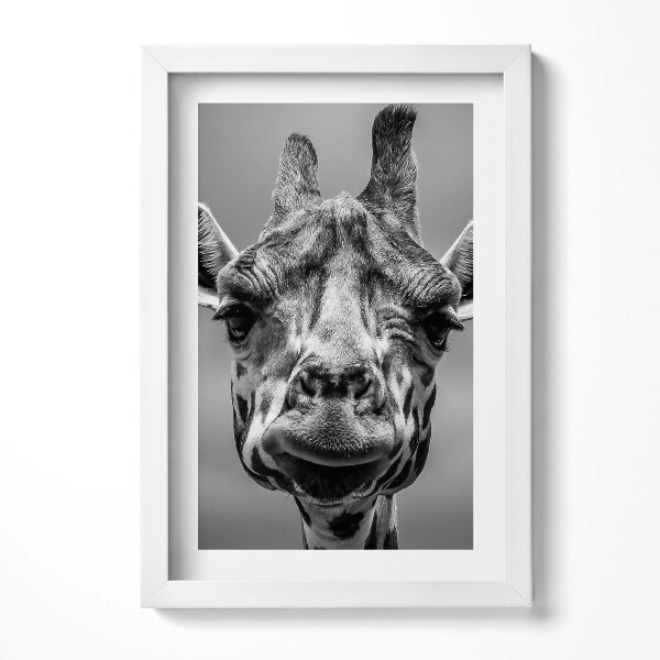 Tablou rama decorativ Cap de girafă alb-negru