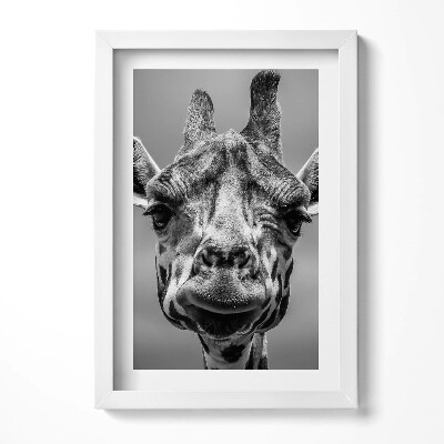 Tablou rama decorativ Cap de girafă alb-negru