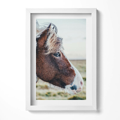 Tablou living cu rama decorativ Prim-plan al unui cal maro cu coamă
