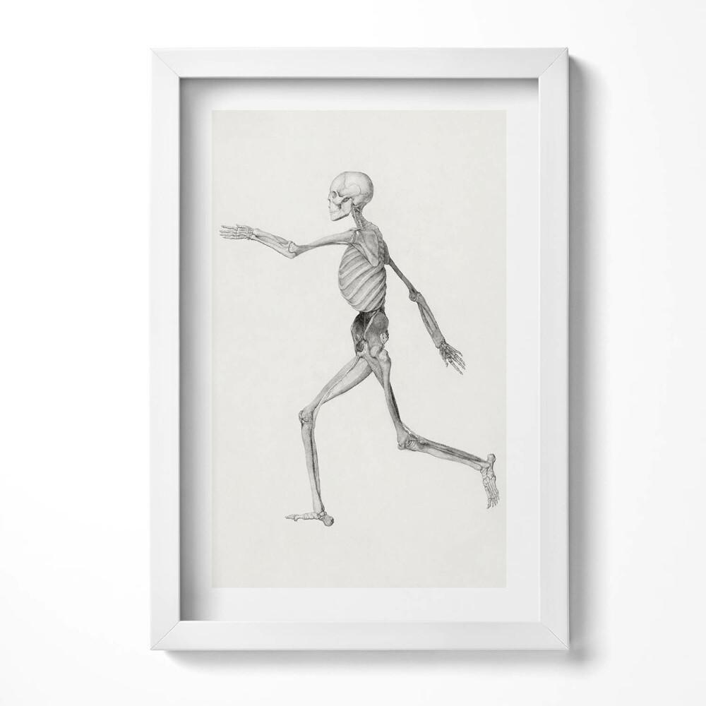 Tablou rama decorativ Un desen al unui schelet