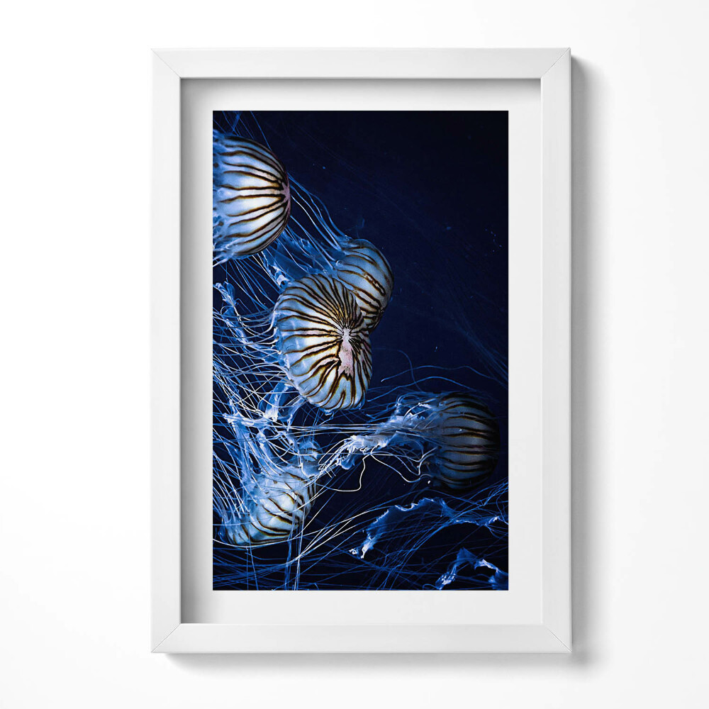 Tablou rama decorativ Meduze albastre în apă