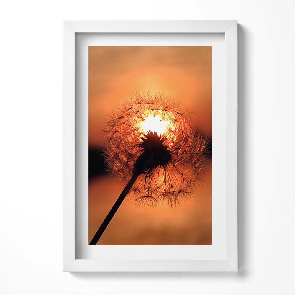 Tablou rama decorativ Păpădie la apus