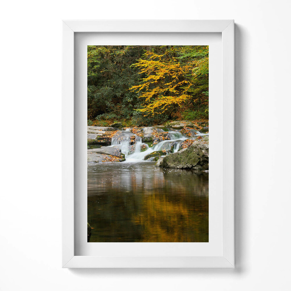 Tablou living cu rama decorativ Peisaj verde al unui pârâu de pădure