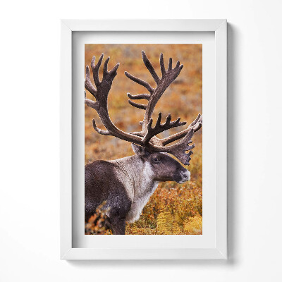 Tablou living cu rama decorativ Animal - cerb pe câmp