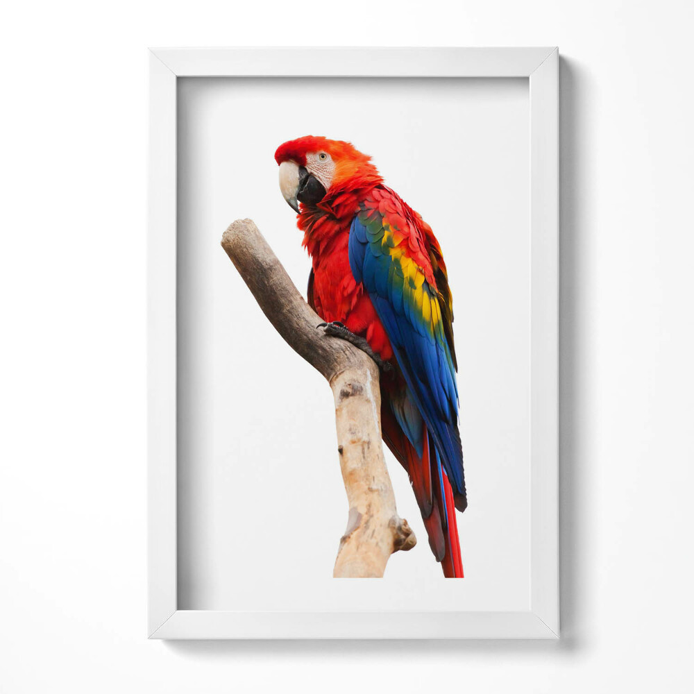 Tablou rama decorativ Papagal macaw colorat pe o ramură