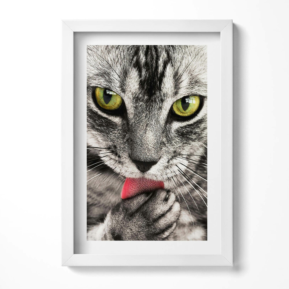 Tablou rama decorativ Ochi de pisică gri