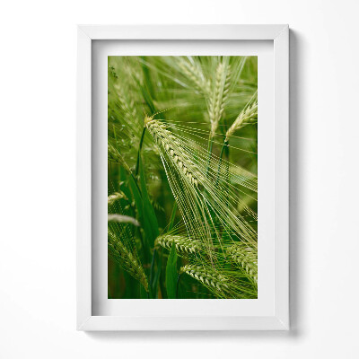 Tablou living cu rama decorativ Urechi de iarbă vara