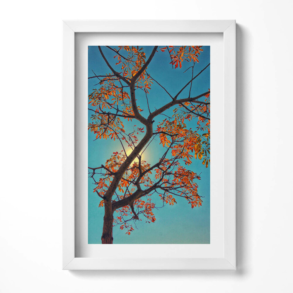 Tablou living cu rama decorativ Copac și soare de toamnă