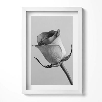 Tablou rama decorativ Floare mică de trandafir gri