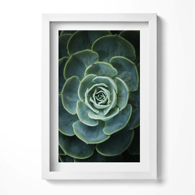 Tablou rama decorativ Plantă suculentă verde