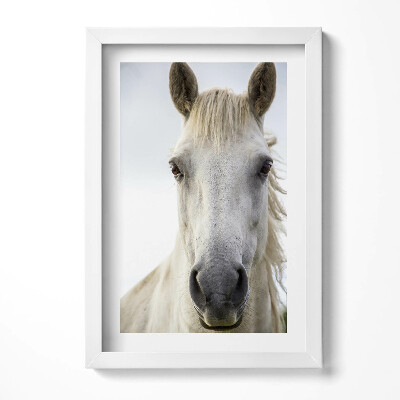Tablou rama decorativ Cap de cal alb