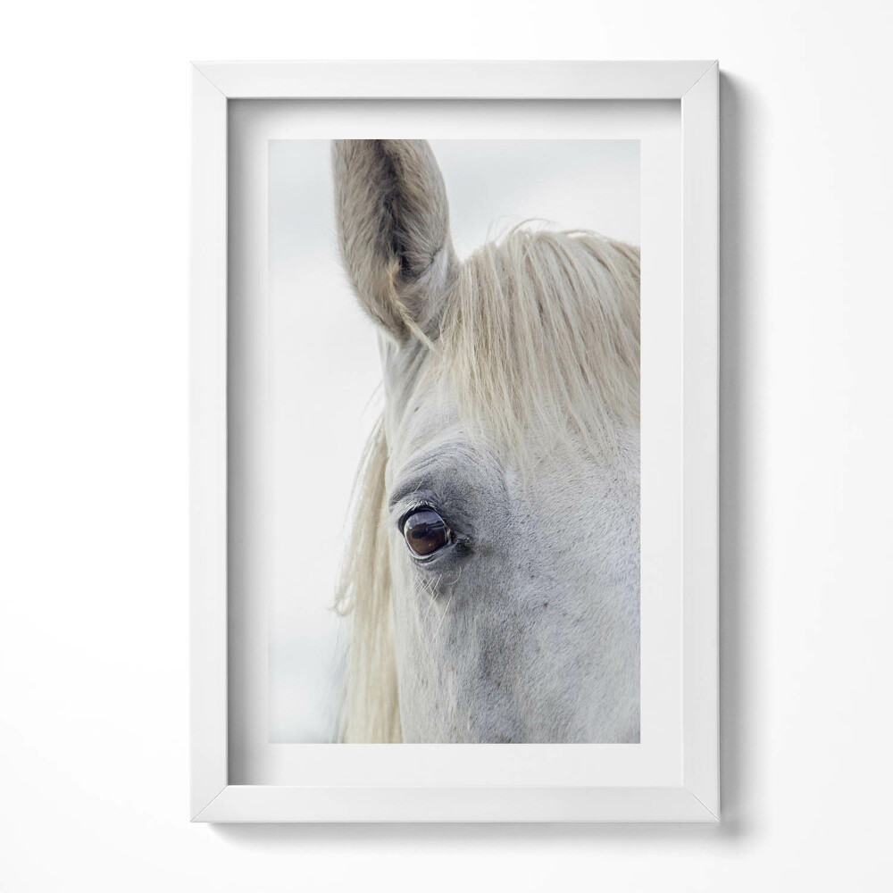 Tablou rama decorativ Cap de cal alb