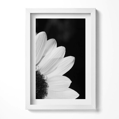 Tablou living cu rama decorativ Petale de margarete în alb și negru