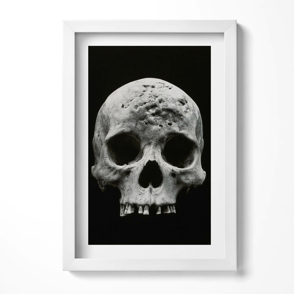 Tablou rama decorativ Schelet de craniu uman