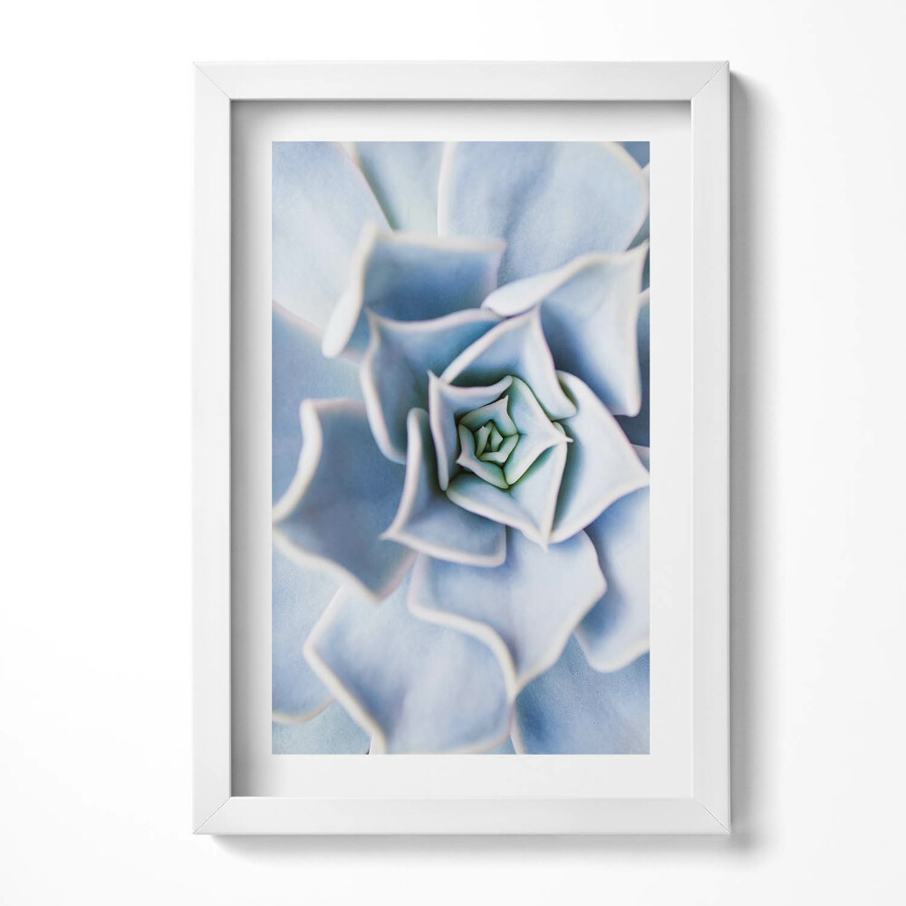 Tablou rama decorativ Floare de plantă