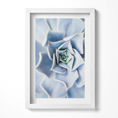 Tablou rama decorativ Floare de plantă