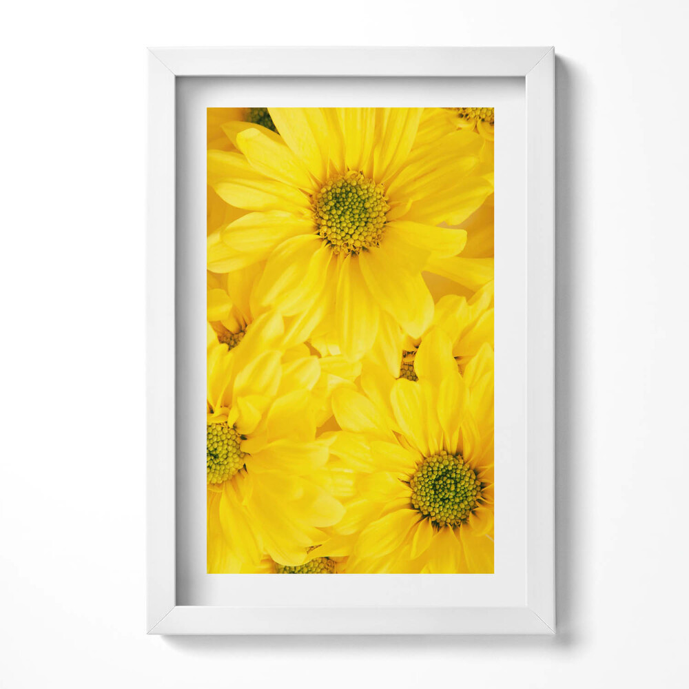 Tablou living cu rama decorativ Petale de flori