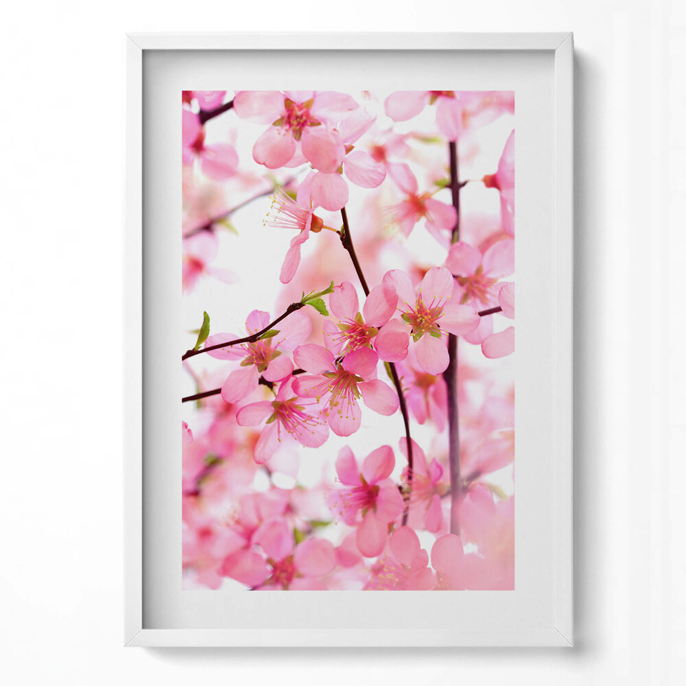 Tablou living cu rama modern Flori roz de primăvară pe ramuri