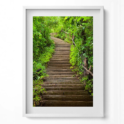 Tablou living cu rama modern Scări în mijlocul pădurii