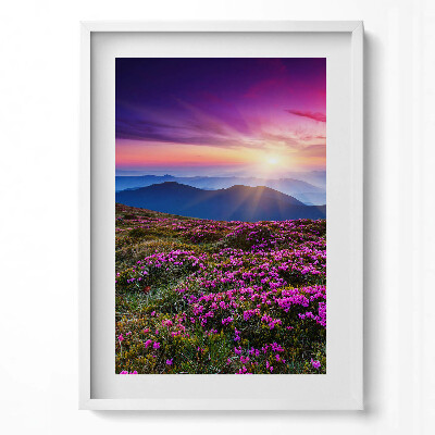 Tablou living cu rama modern Flori de răsărit