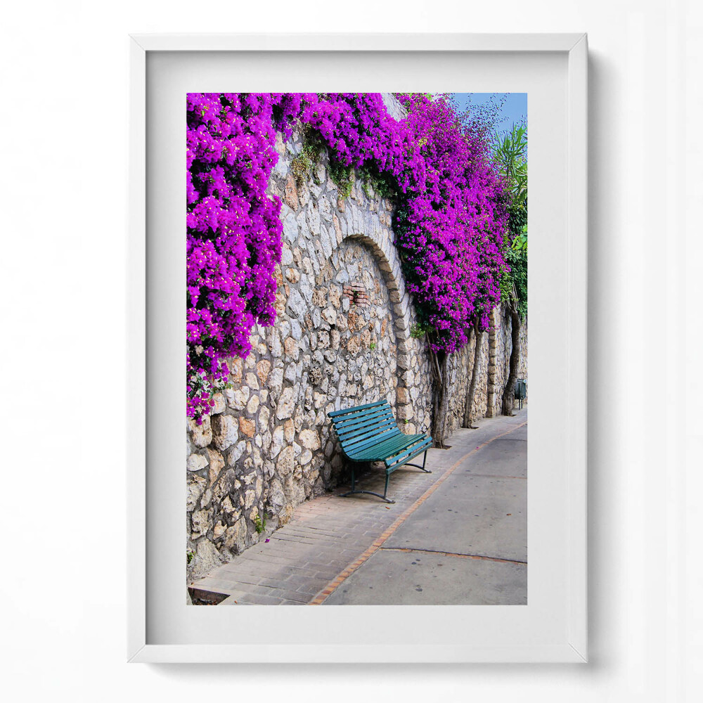 Tablou living cu rama modern Calea cu flori în Capri, Italia