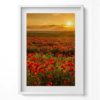 Tablou rama modern Peisaj al unei pajiști cu flori de mac