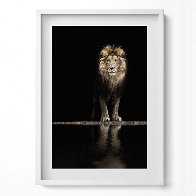 Tablou rama modern Leu sălbatic, animal singuratic