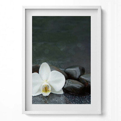Tablou living cu rama modern Pietre zen cu flori albe