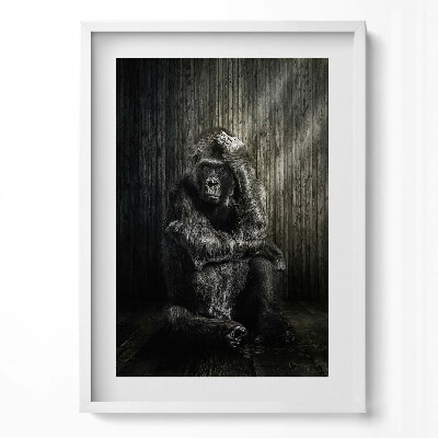 Tablou rama modern O maimuță gândind în umbră