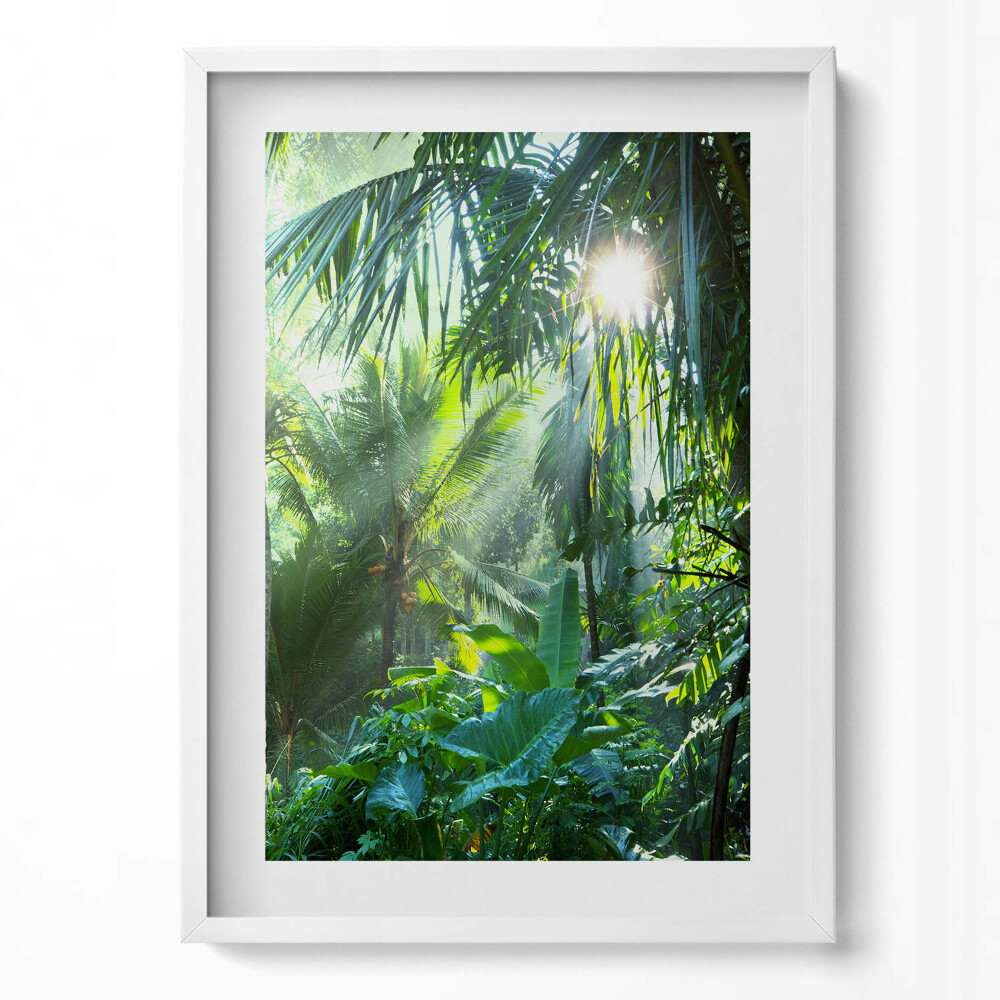 Tablou living cu rama modern O junglă verde plină de plante