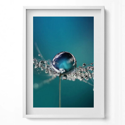 Tablou rama modern O picătură de rouă pe o păpădie